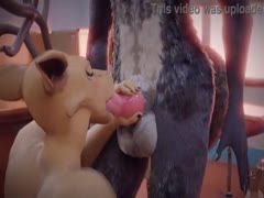 Dog giving blowjob to another dog in hot dog sex